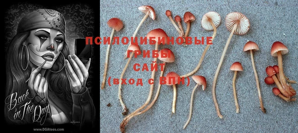2c-b Переславль-Залесский