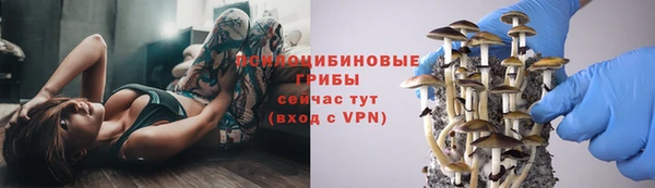 2c-b Переславль-Залесский