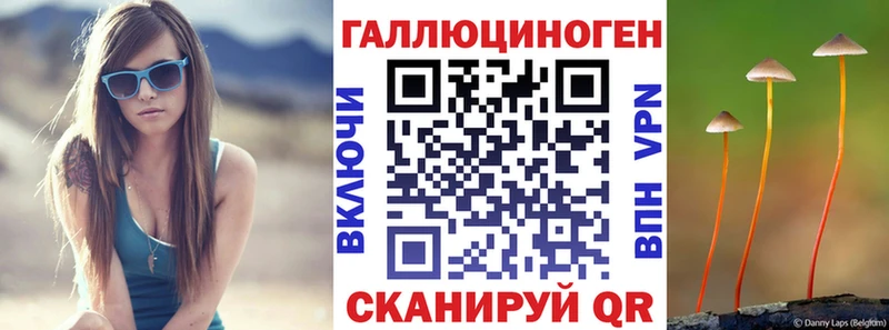 Псилоцибиновые грибы Psilocybe Яровое